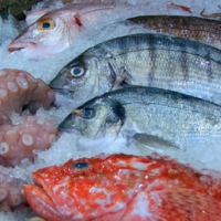 Ёмкость рынка рыбы в Казахстане за 5 лет увеличилась в полтора раза