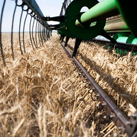 Украина: Одесская область намолотила первый миллион тонн зерна