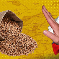 Зерновая сделка ушла в историю, кто пострадает больше?