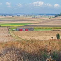 Возможно ли получить бесплатную землю в Казахстане без знакомых и откатов? 