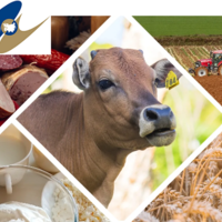 С начала 2023 года производство сельхозпродукции в ЕАЭС выросло на 2,8% 