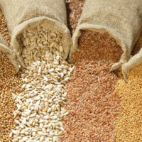 Минсельхоз России: квота на импорт семян может меняться ежегодно на основе баланса производства