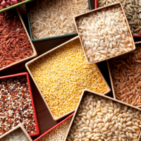 «Недружественные» семена: Минсельхоз РФ планирует установить квоты на импорт семян девяти сельхозкультур 