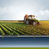 Система субсидирования спустя сутки не справилась с наплывом казахстанских фермеров 