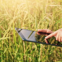 GOSAGRO.KZ: полностью завершена работа по внедрению исторических данных в ЕГИСС