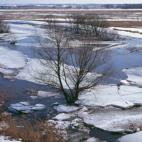 Потепление до 26 градусов: синоптики предупредили о высоких рисках затопления в двух областях Казахстана