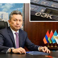 Антимонопольный блок ЕЭК завершил серию расследований по нарушениям на трансграничных рынках семян