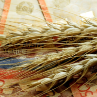 Продкорпорация предоставила казахстанским фермерам возможность возвратить долги до 1 марта