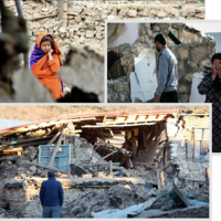 Землетрясения нанесли катастрофический ущерб сельскому хозяйству в 10 провинциях Турции