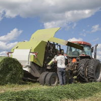 Россия и Казахстан планируют поставить в Китай 700 тысяч тонн сена