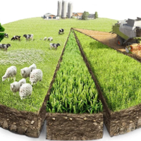 Как в Казахстане получить землю для ведения сельского хозяйства начинающему фермеру? 