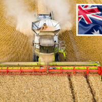 В Австралии урожай пшеницы и ячменя бьет рекорды третий раз подряд