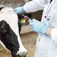 Более 66 млн. доз ветпрепаратов выделено на весеннюю вакцинацию сельхозживотных в Казахстане