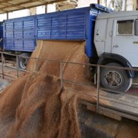 В Казахстане раскрыта схема серого транзита зерна из России