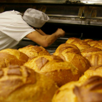 В 2022 году в Казахстане произвели более 518 тысяч тонн хлеба