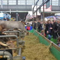 Визит во Францию: о чем договорился глава Минсельхоза РК с французскими коллегами