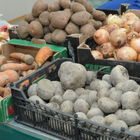 В каких регионах Казахстана сложилась критическая ситуация с запасами социально значимых продуктов питания? 