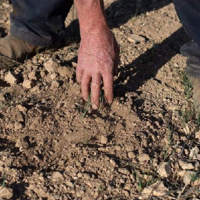 Фермеры Испании потеряли более 3,5 млн. гектаров посевов из-за засухи