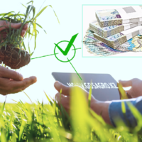 Казахстанским фермерам одобрены заявки на получение инвестсубсидий на сумму более 63 млн. тенге