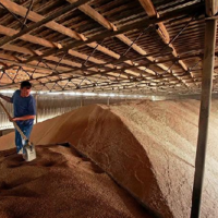 Россия: Минсельхоз допустил возможность изменения экспортной пошлины на зерно с июля