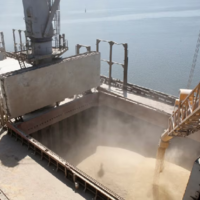 Зерновой коридор: Россия готова продлить «черноморскую инициативу» только на 60 дней