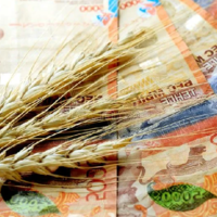 Изменить финансирование казахстанских аграриев в 10 раз предложил депутат Ходжаназаров