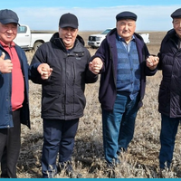 В Актюбинской области стартовал проект по ускоренному восстановлению 2500 га деградированных пастбищ