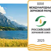 Рынок зерна — вчера, сегодня, завтра