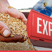 Казахстан планирует увеличить экспорт сельскохозяйственной продукции в Афганистан Казахстан планирует увеличить экспорт сельскохозяйственной продукции в Афганистан
