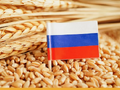 С 10 декабря в России обнулят пошлины на пшеницу