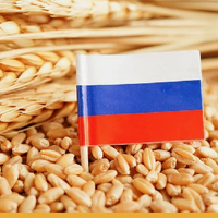 Ставка пошлины на экспорт российской пшеницы с 14 января 2026 года обнулится