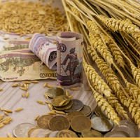 В России нулевые пошлины на экспорт зерна продлены до 23 декабря