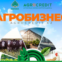 АКК: стартовало финансирование казахстанских производителей и переработчиков