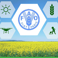 Минсельхоз Казахстана обозначил приоритетные направления совместной работы с FAO Минсельхоз Казахстана обозначил приоритетные направления совместной работы с FAO