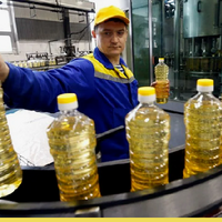 Экспортная пошлина на российское подсолнечное масло в июле снизится на треть