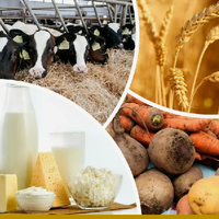 В Казахстане объем валовой продукции сельского хозяйства за пять месяцев увеличился на 4% 