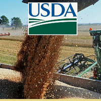 USDA: в 2025 году Казахстан соберет 15,5 млн тонн пшеницы и 3,3 млн тонн ячменя USDA: в 2025 году Казахстан соберет 15,5 млн тонн пшеницы и 3,3 млн тонн ячменя
