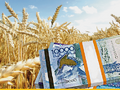 Продкорпорация увеличила форвардное финансирование казахстанских аграриев до 29,5 млрд тенге