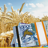 Продкорпорация увеличила форвардное финансирование казахстанских аграриев до 29,5 млрд тенге