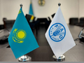 Казахстан и FAO: 10 ключевых проектов на сумму 9,5 млн долларов в агросфере