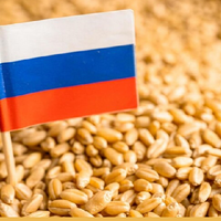 Пошлина на экспорт российской пшеницы с 1 по 7 апреля вырастет более чем на треть