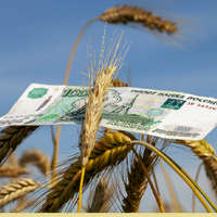В России установлены предельные уровни цен для закупочных интервенций зерна на два года