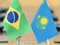 Товарооборот между Казахстаном и Бразилией в сфере АПК вырос на 10%, достигнув 89,5 млн долларов