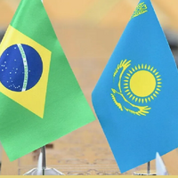 Товарооборот между Казахстаном и Бразилией в сфере АПК вырос на 10%, достигнув 89,5 млн долларов