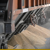 В январе-феврале импорт казахстанского зерна в Китай через КПП Алашанькоу подскочил почти на 50%