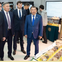 Казахстан: НАНОЦ произвел более 60 тыс. тонн семян высшей категории