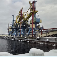 В 2025 году экспорт зерна из Казахстана через порты стран Балтии увеличился более чем в шесть раз 