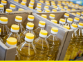 Казахстан намерен нарастить экспорт масложировой продукции примерно на 60% к 2028 году