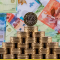 492,4 млн тенге: Продкорпорация Казахстана завершила 2025 год с чистой прибылью 