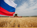 В России уточнили данные по сокращению посевных площадей в 2026 году